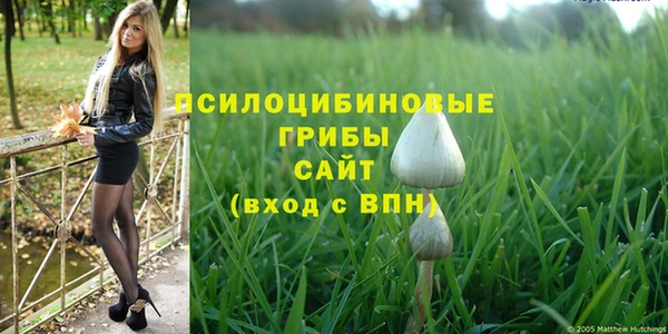 молекула духа Гусев