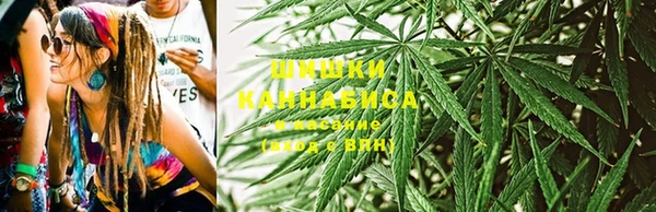 прущая мука Гусиноозёрск